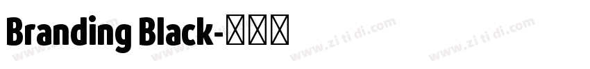 Branding Black字体转换
